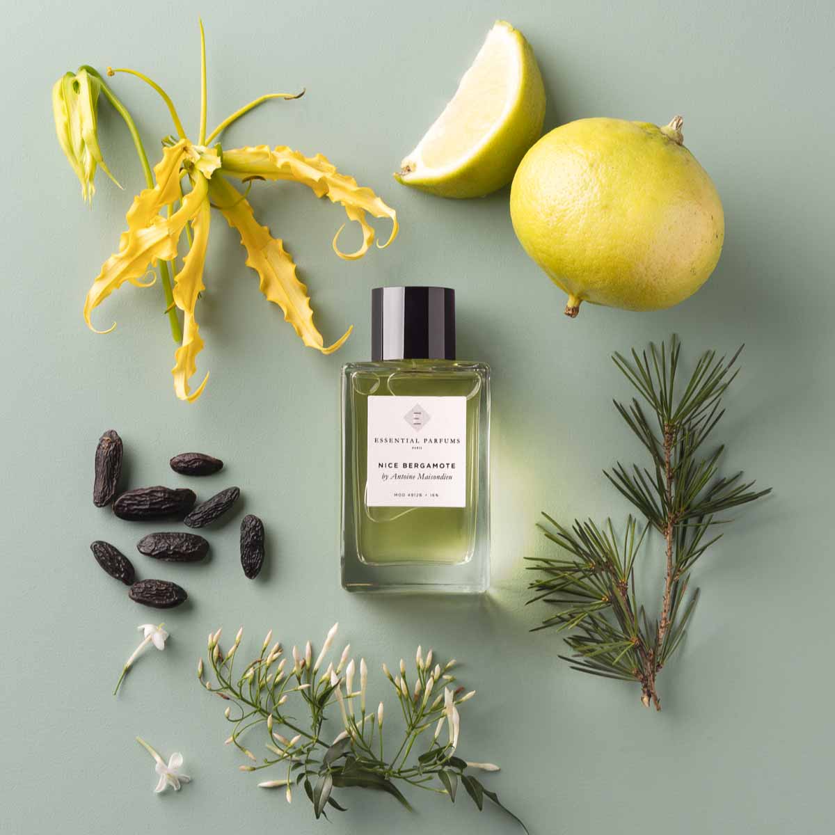 Perfume lámpara catalítica 1l Eclatante Bergamote - Essenza - Perfuma tu  día a día - Especialistas en aromas para tu hogar